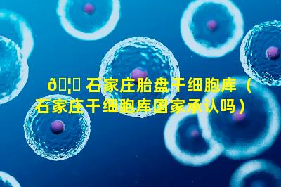 🦈 石家庄胎盘干细胞库（石家庄干细胞库国家承认吗）
